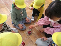 3歳児らいおん組の子どもたちがお手玉をしている写真