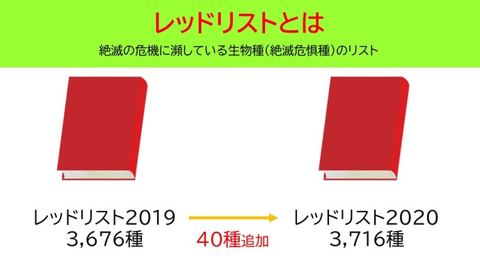 レッドリスト（絶滅の危機に瀕している生物種のリスト）について