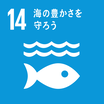 SDGsのゴール14　海の豊かさを守ろう