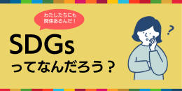 画像：SDGsってなんだろう？