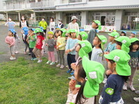 こいのぼりを見上げる子どもたちの様子の写真