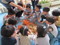 5歳児が畑の土作りで野菜をちぎっている写真です。