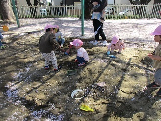 2歳児うさぎ組が桜で遊んでいる様子の写真