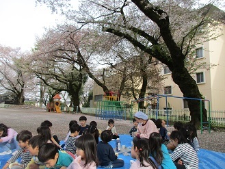 4，5歳児ぱんだ組、らいおん組が桜の木の下で、おやつを食べている写真の様子