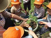 3歳児クラスの子どもたちが野菜を植えている写真