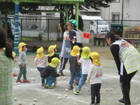 3歳児と4歳児の玉入れの写真