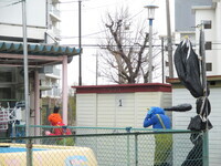 逃げていく鬼の写真