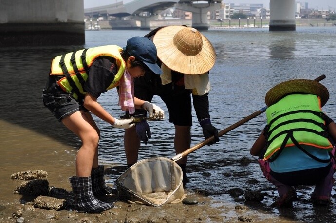 干潟写真1