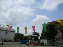 こいのぼりの写真