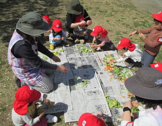 野菜くずをちぎる小さいクラスの子どもの写真