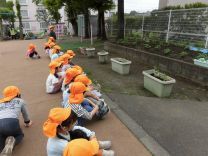 写真：苗植え3