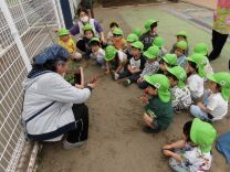 写真：3歳児の苗植え