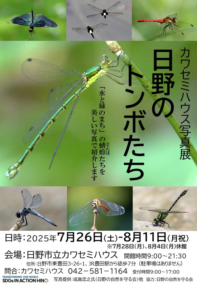 トンボ写真展のチラシ画像