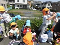 写真：お茶タイム