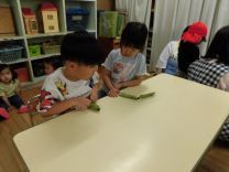 写真：そらまめさやむき12