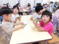 写真：そらまめさやむき2