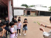 写真：ちょうちょ3