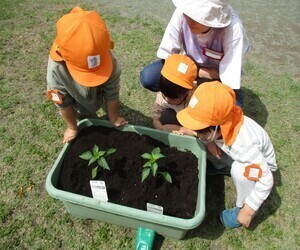 子どもが植木鉢をのぞき込んでいる写真