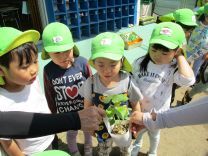 写真:夏野菜苗植え7
