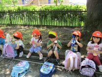写真:3歳児遠足2