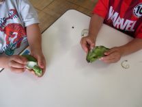 写真:そら豆のさやむき5