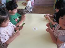 写真:そら豆のさやむき2