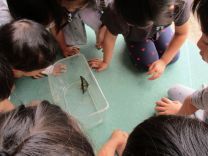 写真:青虫10