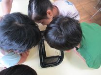 写真:青虫6