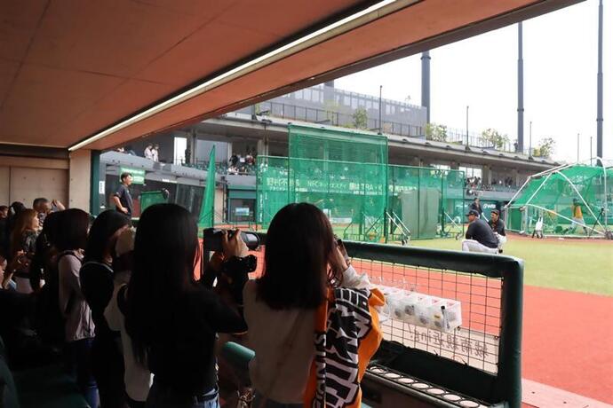 写真：打撃見学ツアー