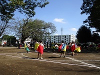 5歳児が荒馬をしている写真です。
