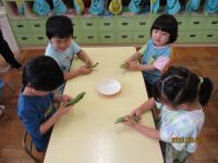 そら豆をむいている写真です。