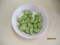 そら豆の写真です