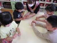 そら豆をのさやむきをしている写真です。