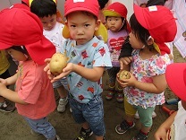 写真:芋ほり6