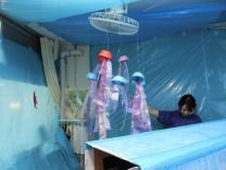 写真:水族館9