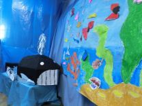 写真:水族館3