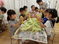 写真：とうもろこしの皮むき11