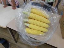 写真：とうもろこしの皮むき15