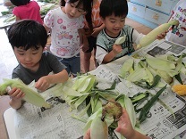 写真:とうもろこし皮むき5