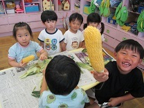 写真:とうもろこし皮むき4