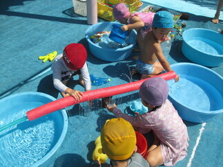 容器に水を入れている写真