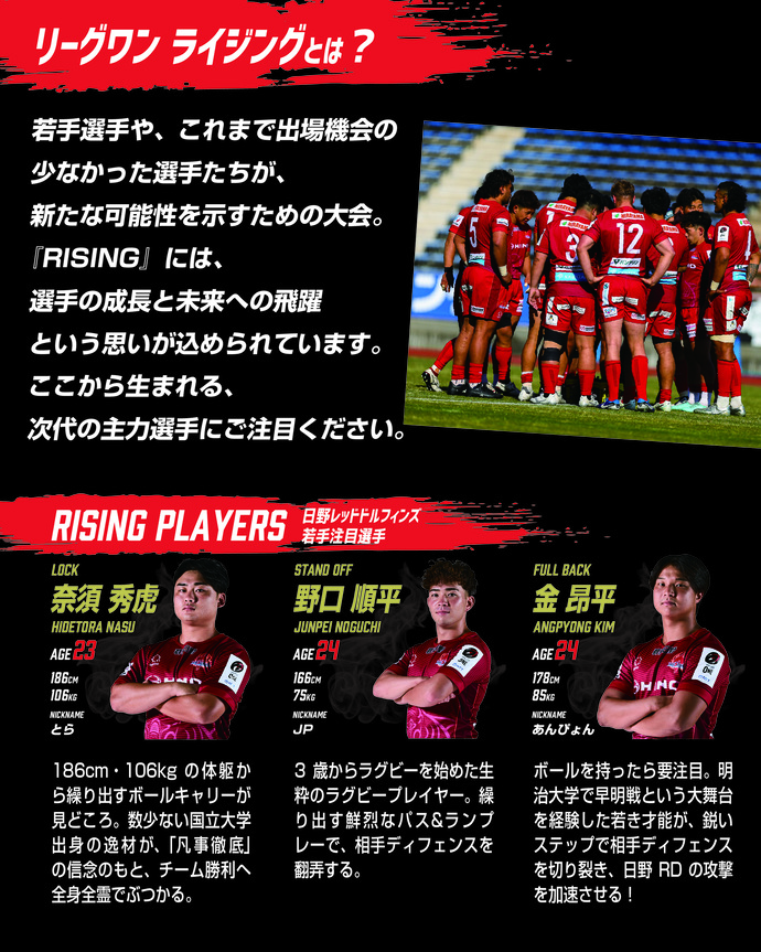 チラシデータ(3)