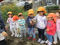 こあら組が見学している写真