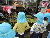 土の中に野菜くずを入れて混ぜ合わせている様子の写真
