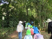 写真：4,5歳遠足3