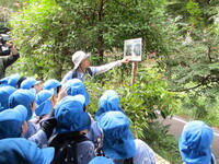 ユーカリの葉を見るこどもたち