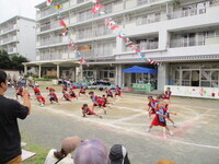 5歳ソーラン節。どっこいしょーどっこいしょ