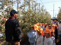 写真：りんご狩り1