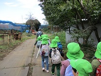 写真：りんご摘み1