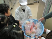 写真：りんご摘み5